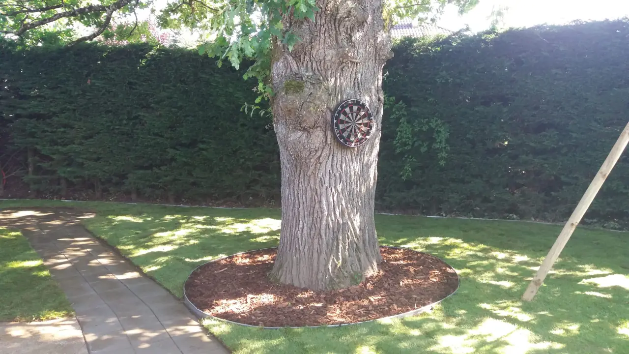 Cuvette d’écorces cerclée d’une bordure métallique au pied d’un arbre.