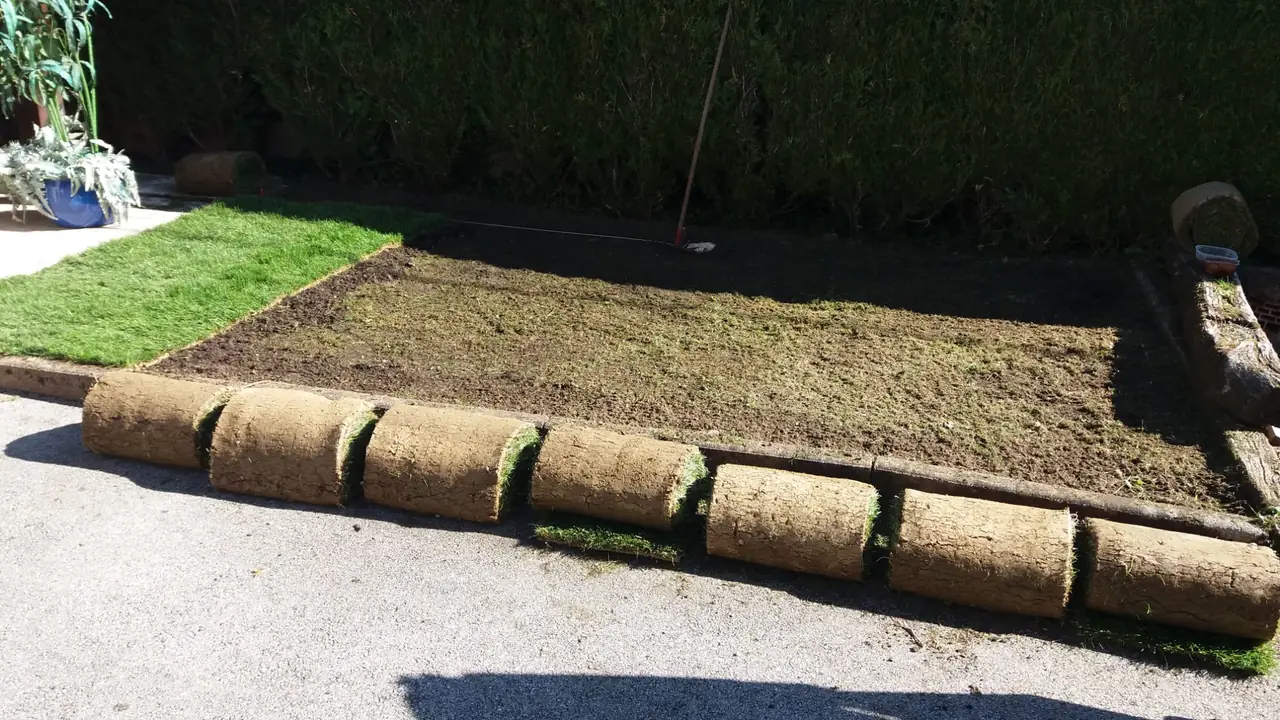 Rouleaux de gazon alignés au bord d’un terrain nivelé.
