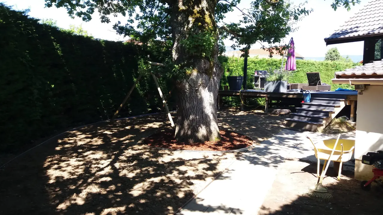 Sol repris et nivelé au pied d’un arbre, le long d’une allée dallée.